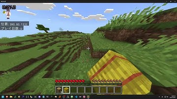 [pacifist seed WR]1.18+ SSG in 1:40