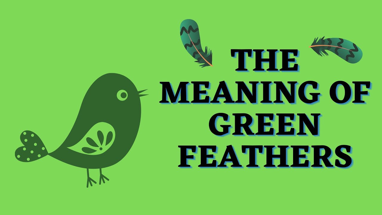 Green Feather Meaning YouTube