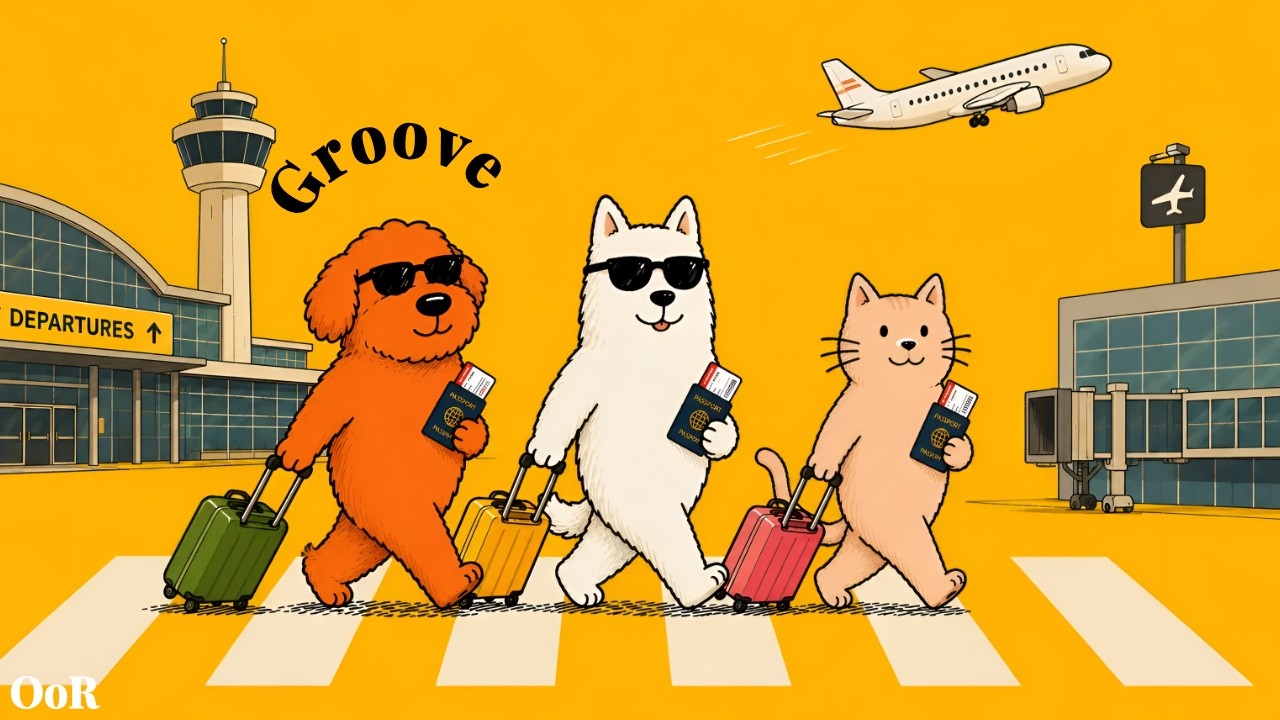 🎧Playlist | "나 지금 비행기 안인가?" ✈️🔥 틀자마자 스트레스 싹 날리는 설렘 풀충전 그루브 ✨ | GROOVE · JAZZHOP · CHILLHOP | 카페음악