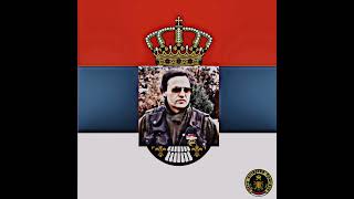 Crni Bombarderispeed Up