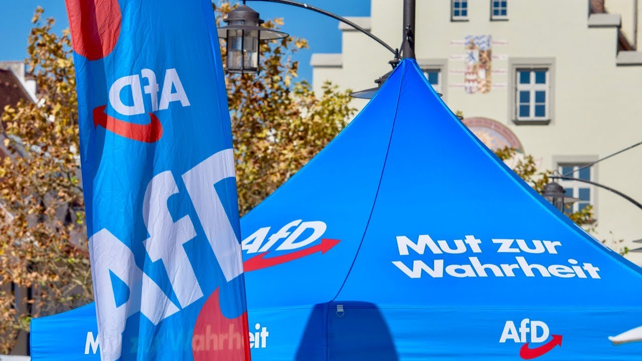 Verfassungsschutz greift auf linke Quellen zurück und verweigert AfD Akteneinsicht alexander gauland boateng