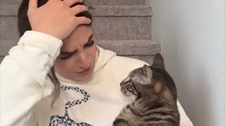 MOM VS DAD: WHO DO THE CATS LOVE MORE?