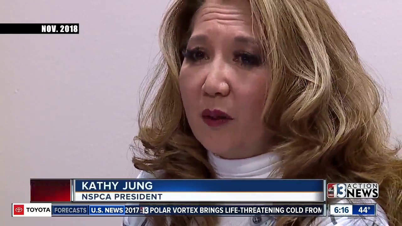 Preview of NSPCA story on Jan. 31