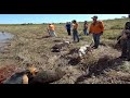 Caçada top com a equipe Bicho do mato e Bodão em Araçatuba sp  2ª parte