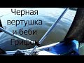 Черная вертушка..и беби Гриффон\\Июль 2019г\\На озере..