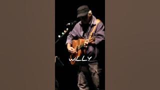 WILLY/SI ANJING LIAR DARI YOGYAKARTA (IWAN FALS) #shorts