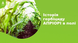 Історія гербіциду АПРІОРІ в полі. #Агроподорож ADAMA.