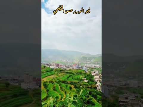 صدى الإنتفاضة 