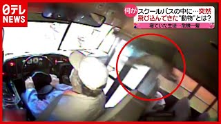 【まさか】危機一髪！ スクールバスに飛び込んできたのは…　アメリカ（2021年4月2日放送「news every.」より）