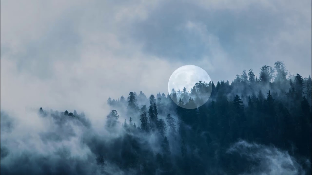 Bruno  Incagnoli oboe Mozart Sinfonia Concertante K297b Direttore Zubin Mehta