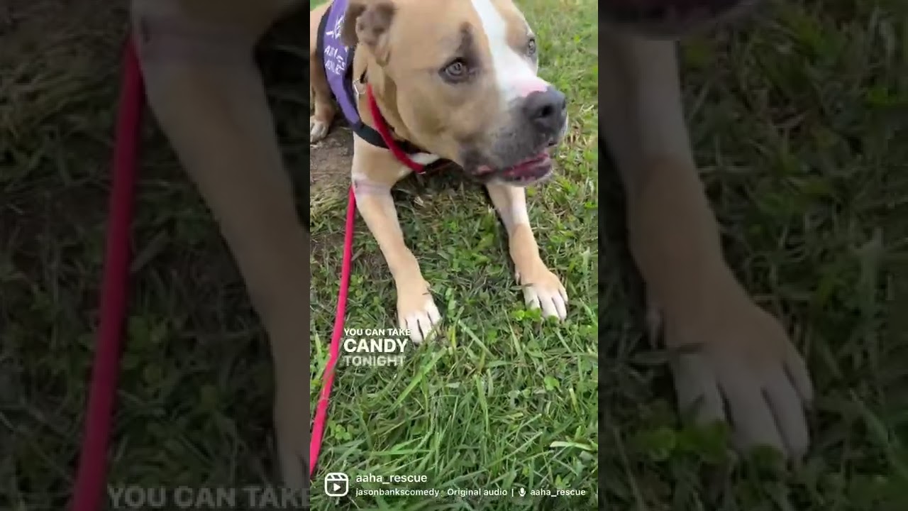 Stay away from the vans Fiona. 