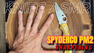 Knife ASMR Spyderco Paramilitary 2 Sharpening for Meditation and Relaxation