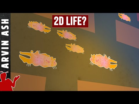 Video: Physicists Believe That Life Can Exist In A 2D World - Alternative View