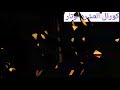 كورال العشره اوتار كورال العشره اوتار