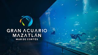 El Gran Acuario Mazatlán emerge de las profundidades del Mar de Cortés