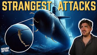 The Most Bizarre Shark Attacks Ever