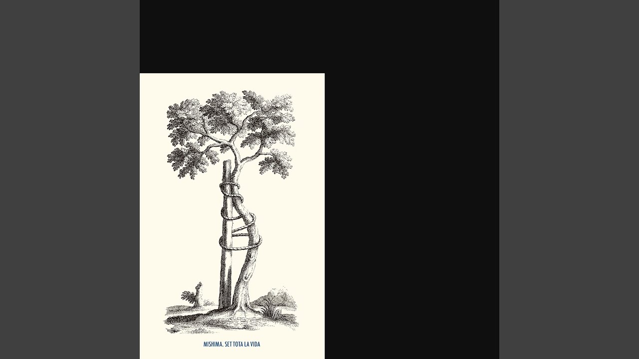 La forma d'un sentit