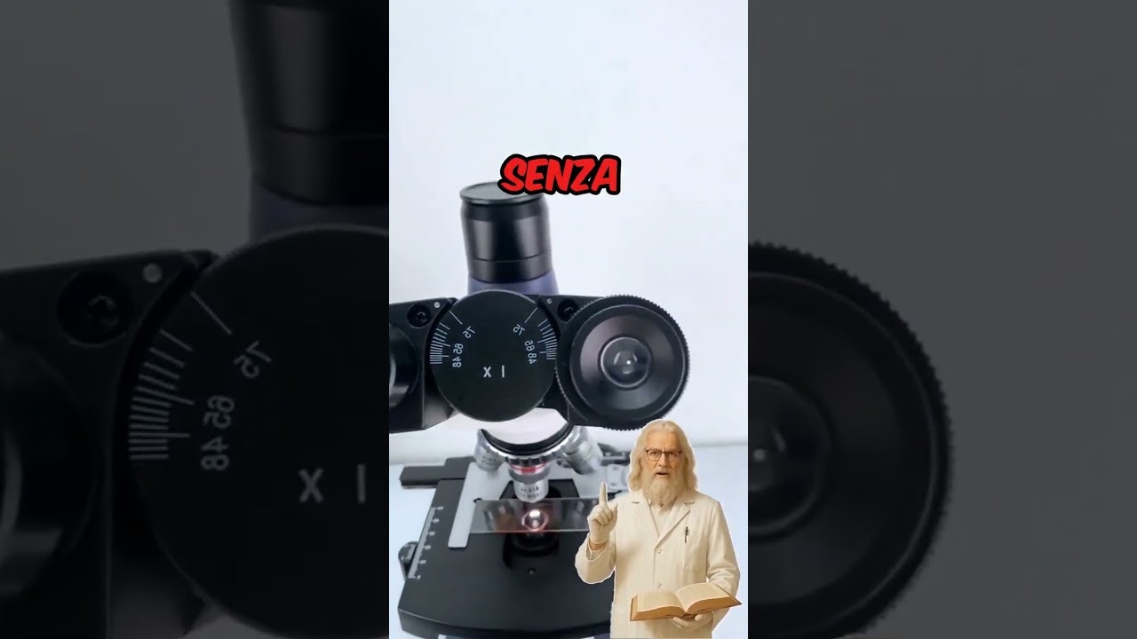 SANGUE UMANO al microscopio... SCIOCCANTE! 🩸🔬😱