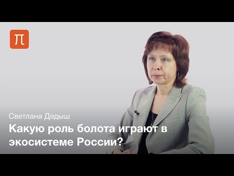 Микроорганизмы в болотах - Светлана Дедыш