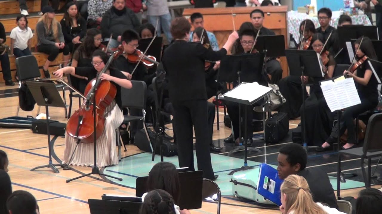Hercules HS Chamber Orchestra - Cello Concerto in C (movement I)