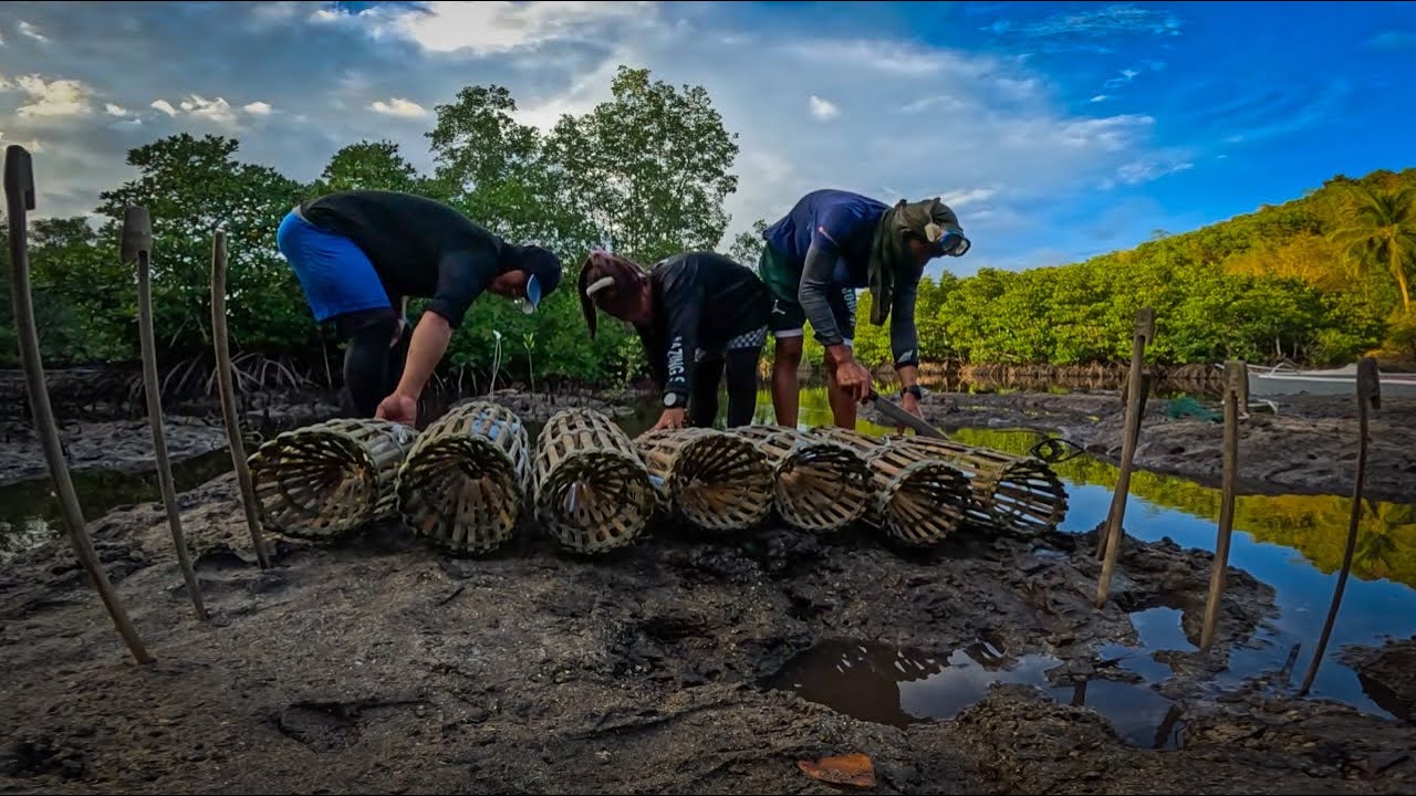 Ang Mga Trap Namin Sa Bakawan
