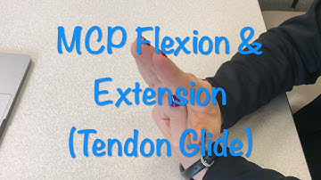 MCP Flexion & Extension
