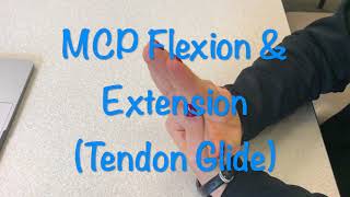 MCP Flexion & Extension