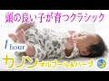 カノンのオルゴール&ハープ♪赤ちゃんの脳の発達や胎教におすすめクラシック音楽canon for Babies☆Baby Sleep Music Bedtime Music《1hours》