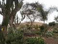 UNMSM: JARDÃN BOTÃNICO, Lima-Perú.