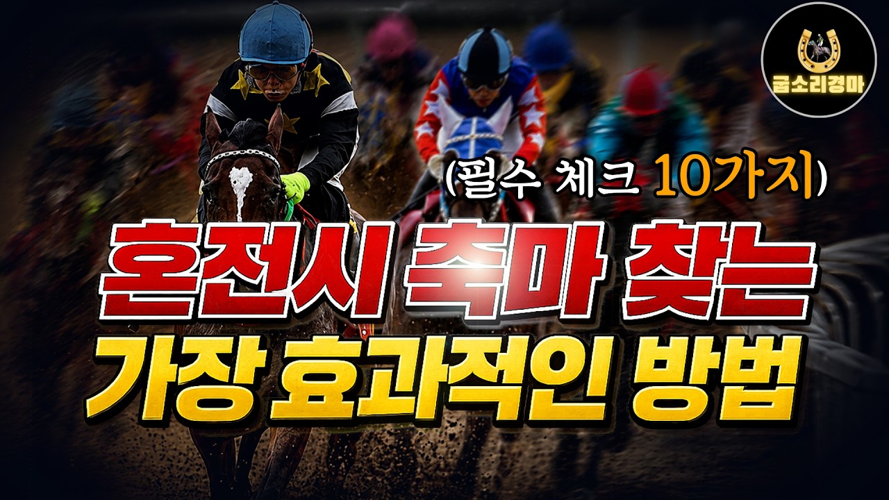 [경마] 혼전경주 공략 핵심｜축마는 여기서 결정된다