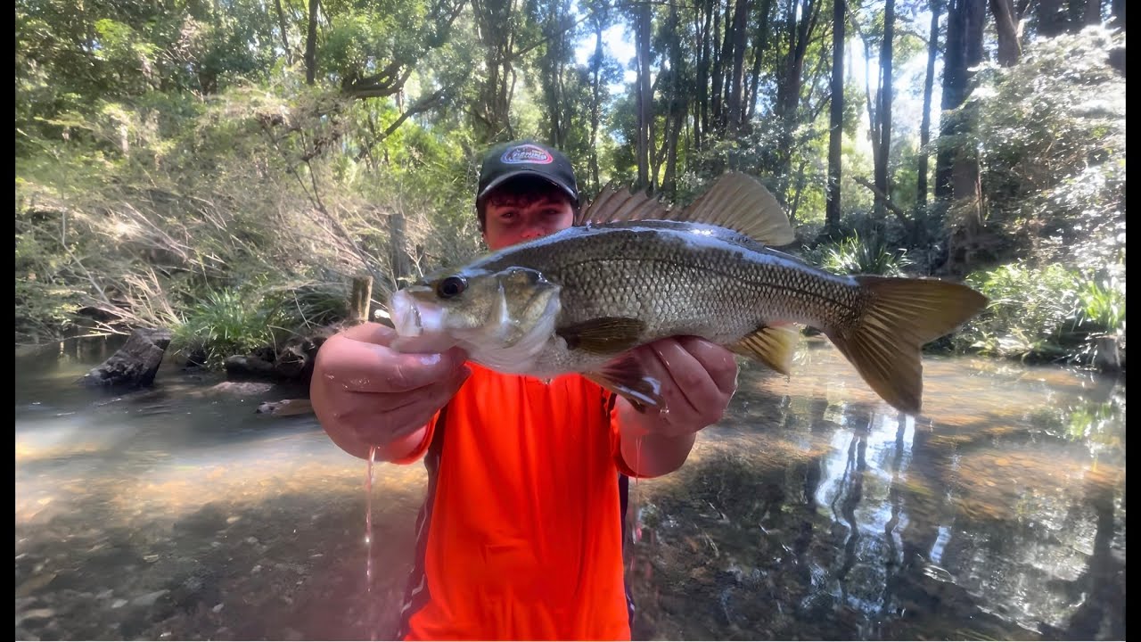Bass Fishing All Weekend!