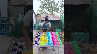 Famous Try Decoding This Color IQ Challenge Using Observation Alone Net Worth