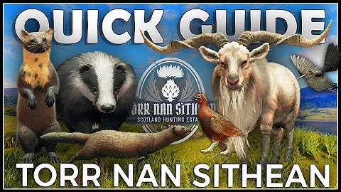 SCOTLAND QUICK GUIDE - How to Hunt All 17 Species in Torr Nan Sithean!!!