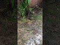 Tap tap tap