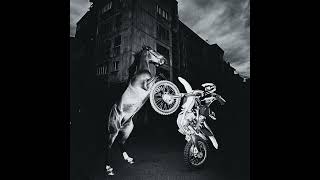 [FREE FOR PROFIT] Melodic Type Beat - "Soft Echoes" screenshot 3