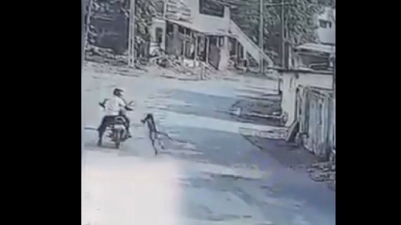 Monkey drop-kick guy on scooter !! [RandomTUBE Part 10]