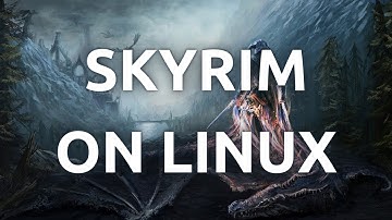 "Install and Play Skyrim Special Edition on Linux – No Hassle Setup!"
