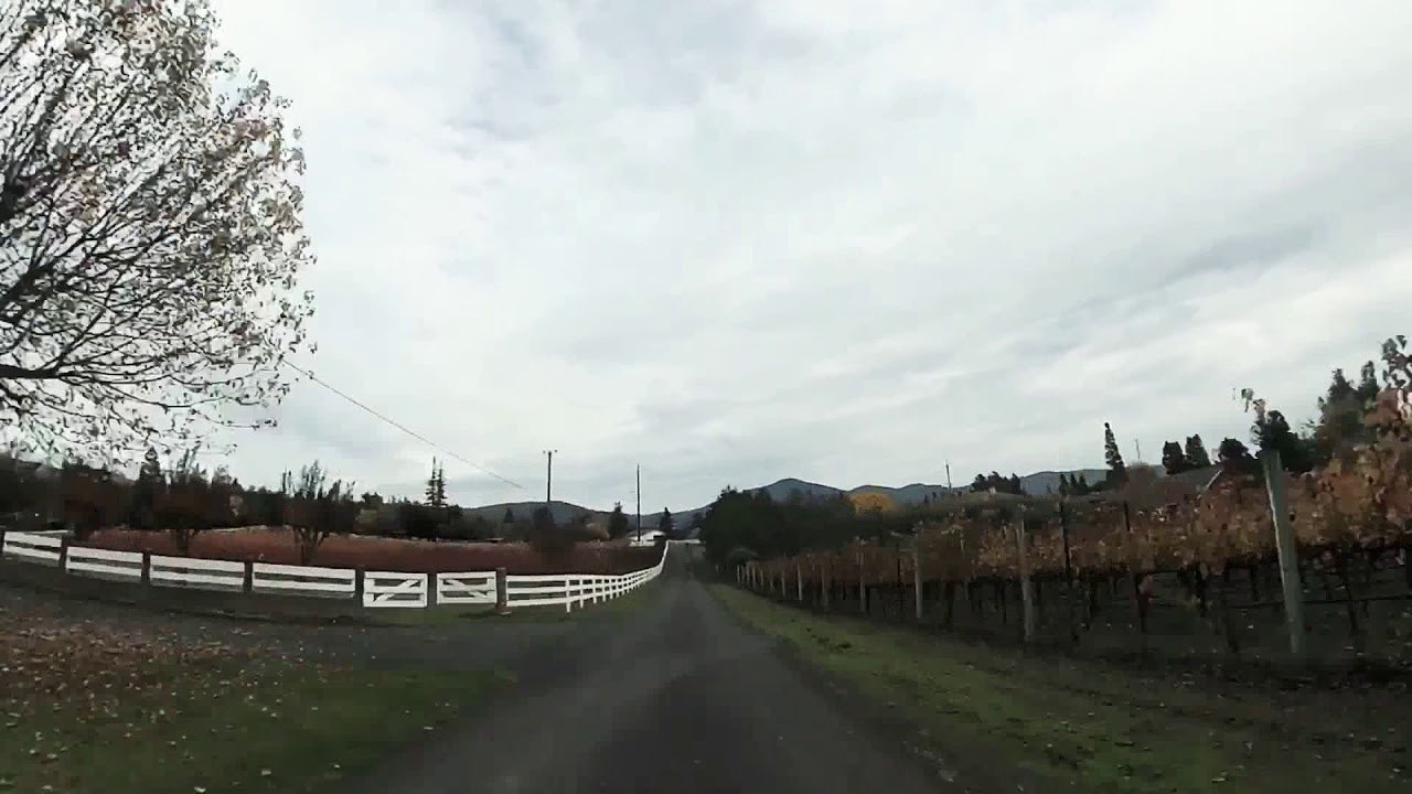 Downhill ride - shot on rylo