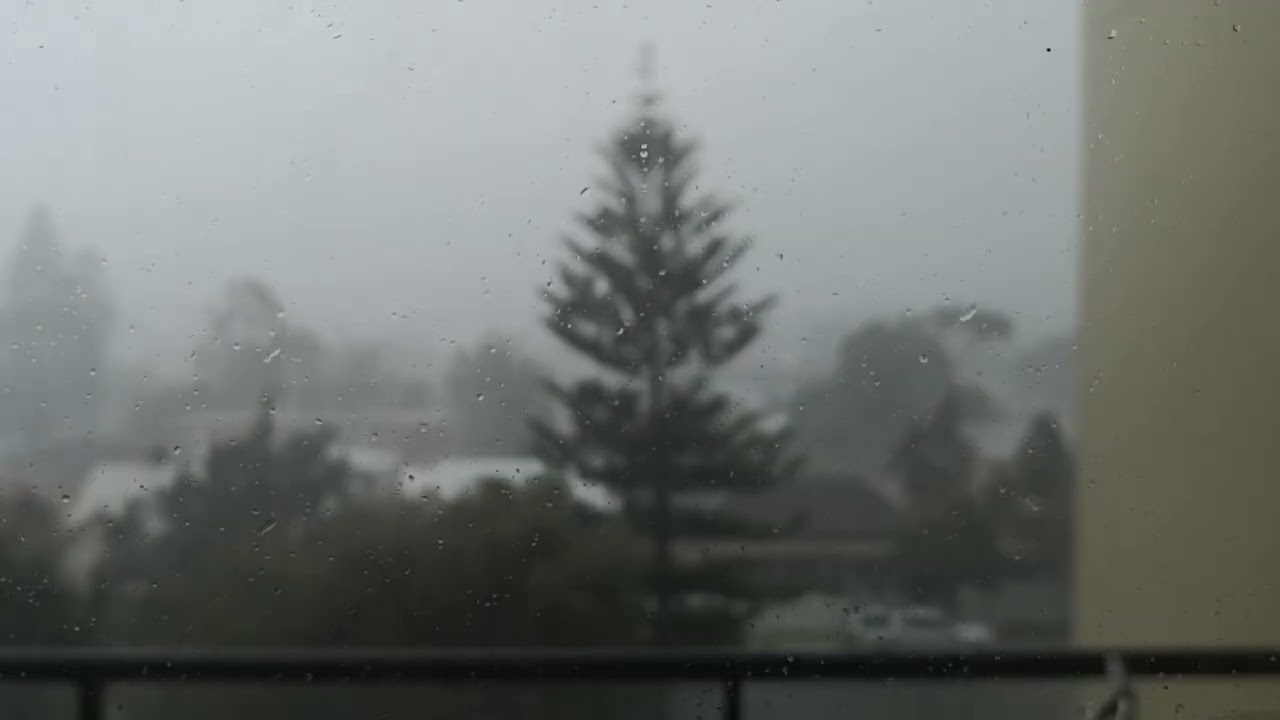 Storms in Mossman Park, June 2019