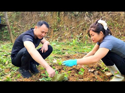 Phong Came To Help Hong With Her Work And The Two Of Them Talked A Lot About His Mother 