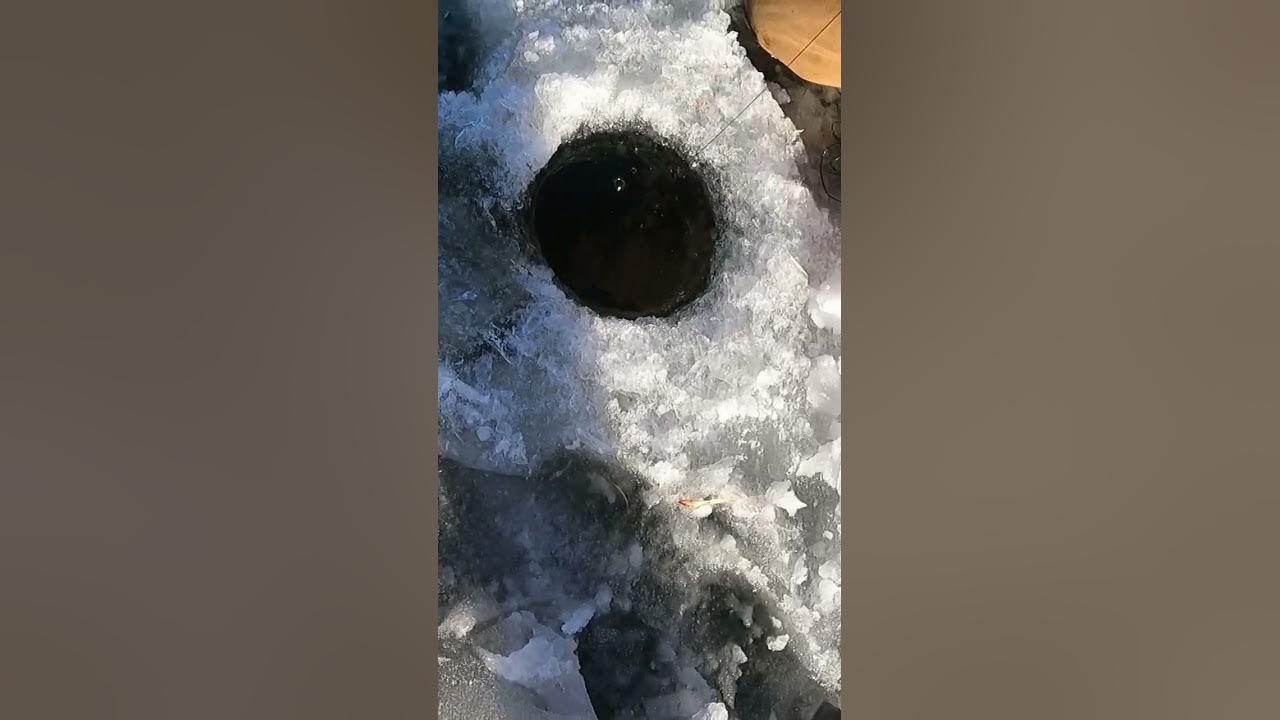 38 and a half inch northern on West Rush Lake MN YouTube