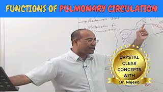 Functions of Pulmonary Circulation 🫁