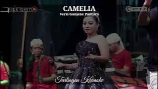 CAMELIA KARAOKE CEWEK versi DEDE RISTY GANJENE PANTURA