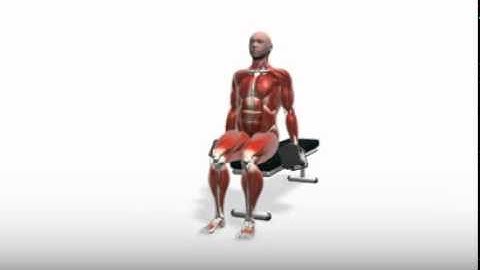 Exercise Videos- PowerBlock Hammer Curl -- Seated - YouTube.flv