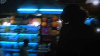 Watch Pains Of Being Pure At Heart Gentle Sons video