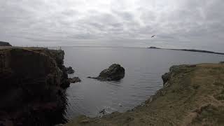A walk around Sumburgh Head, Shetland