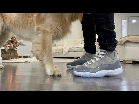 Air Jordan Retro 11 Cool Grey ON FEET