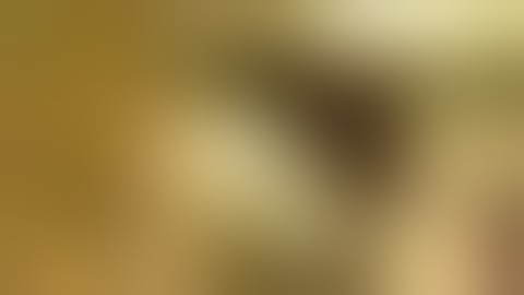 Dctr yerba movidick 51 dias