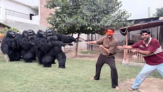 Gorrila vs Human  ||Thug Of War 😱