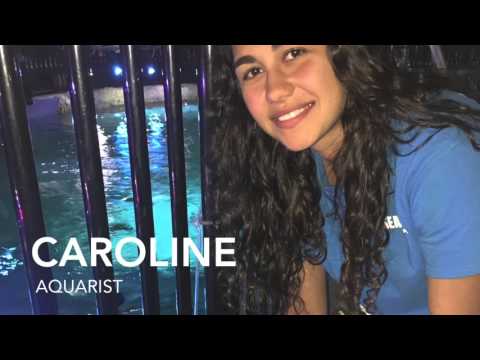 SEA LIFE
